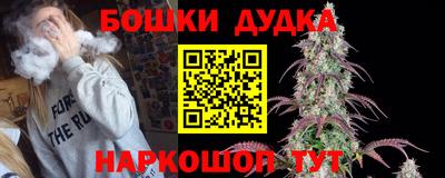 хмурый Кингисепп